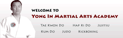 Welcome to the Yong In Martial Arts Academy
